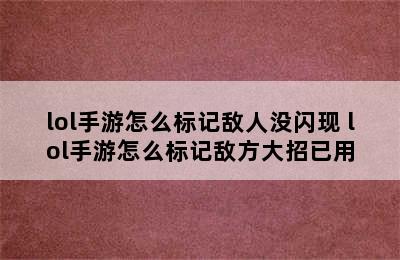 lol手游怎么标记敌人没闪现 lol手游怎么标记敌方大招已用